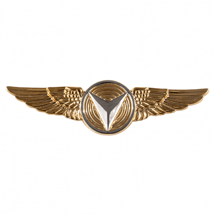 Unmanned Aircraft Systems Badge for Enlisted - The Marine Shop