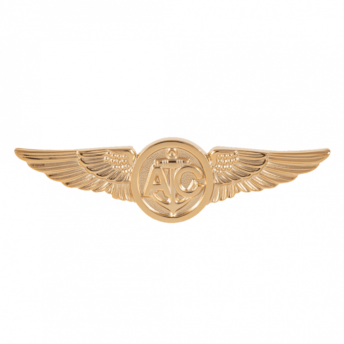 NFO Flight Officer Wings - Anodized - The Marine Shop